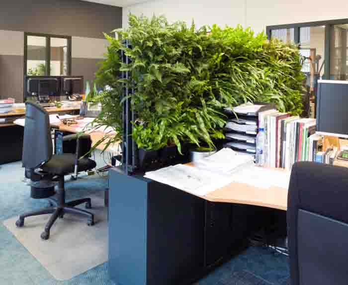 Individuell bepflanzt - … und automatisch bewässert sorgen die Bin Fen Wände für Sicht- und Schallschutz im Büro