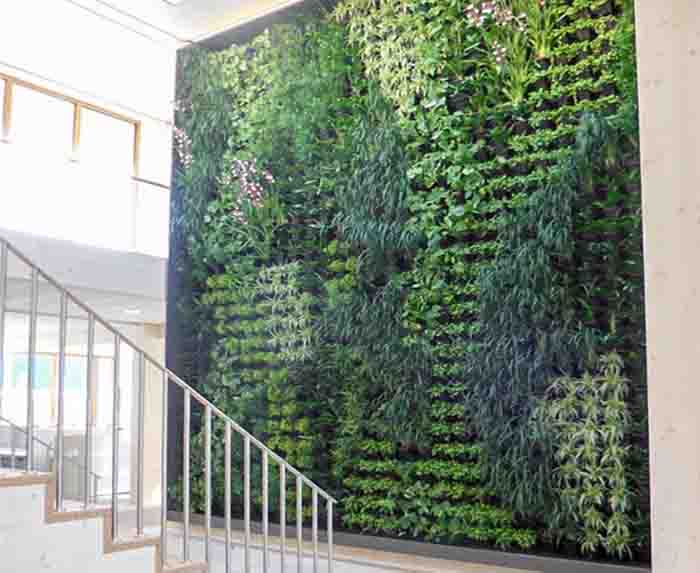 Kunst am Bau - Eine Grüne Wand belebt und beeinflusst das Raumklima positiv
