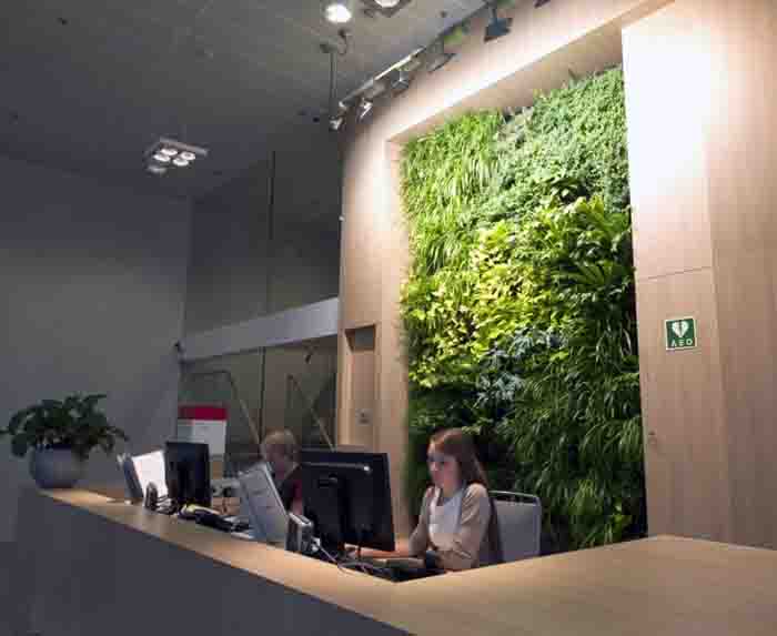 Künstliches Licht - Mit den speziellen Pflanzenleuchten erhält die grüne Wand einen ganz speziellen Effekt