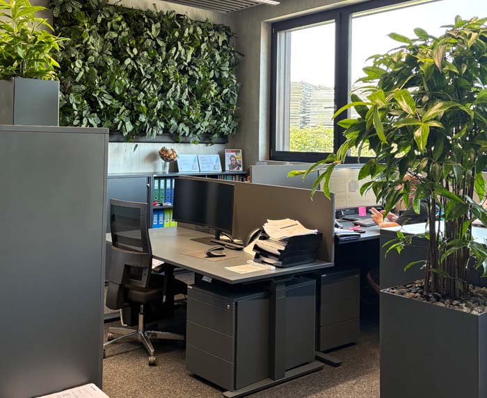 A. Graf Elektro-Installationen AG - Mehr Grün für mehr Wohlbefinden bei der Arbeit