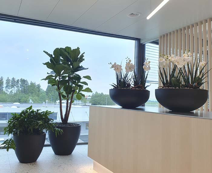 Aepli Metallbau AG - Der reichlich begrünte Empfang wirkt lebendig durch die Pflanzen.