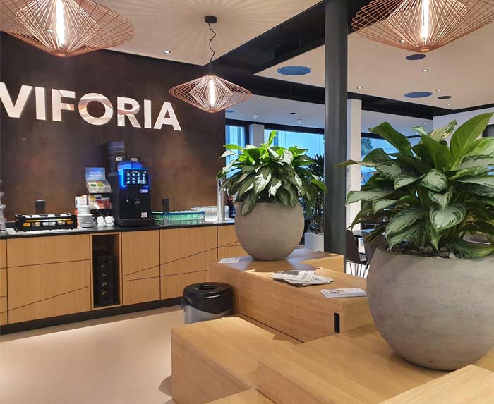 CSL Vifor Schweiz - Aglaonema Silver Bay im handgefertigten Atelier Vierkant.