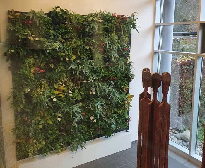 CSL Vifor Schweiz - EIndrucksvoll wirkt die grosse Grüne Wand in der Empfangshalle.