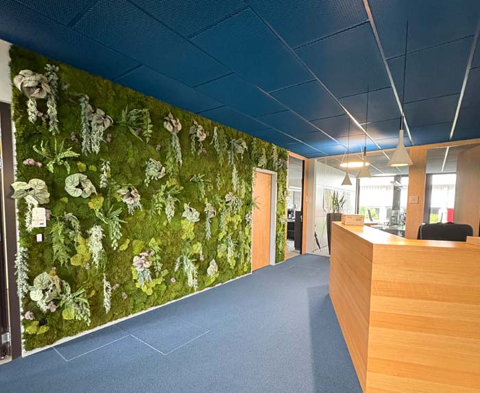 Mooswand - Empfangsbereich mit Mooswand mumifiziert und Textilpflanzen