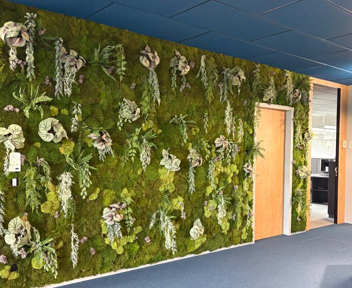 Mooswand - Grün das wirkt!