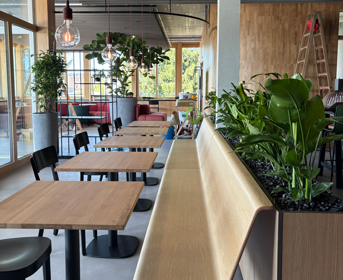Mosterei Möhl AG Arbon - Begrünte Kantine - für erholsame Pausen
