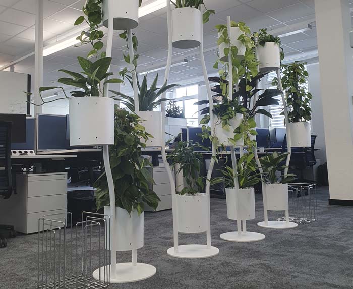 Schott Pharma Schweiz AG - Ein grüner Sichtschutz trennt die beiden Bürohälften von einander.