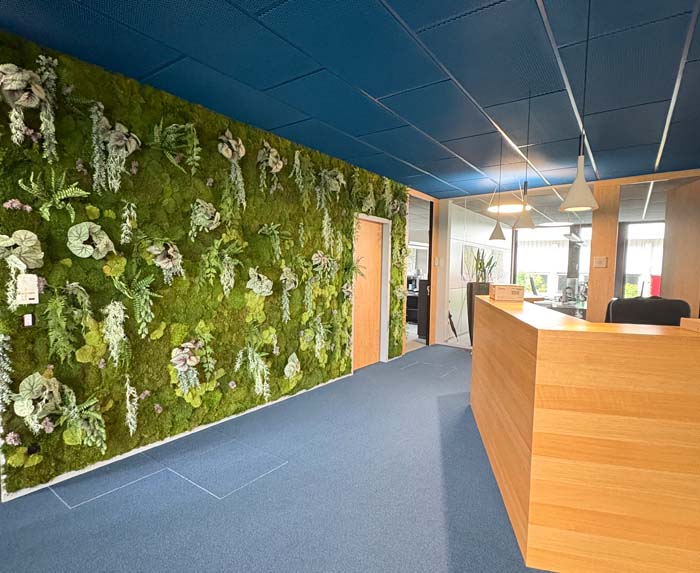 Mooswand - <strong></strong>