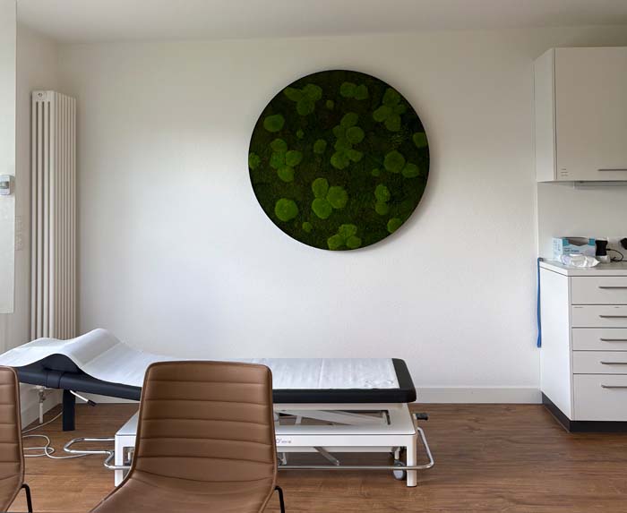 Mumifiziertes Moosbild - WOW-Effekt garantiert!