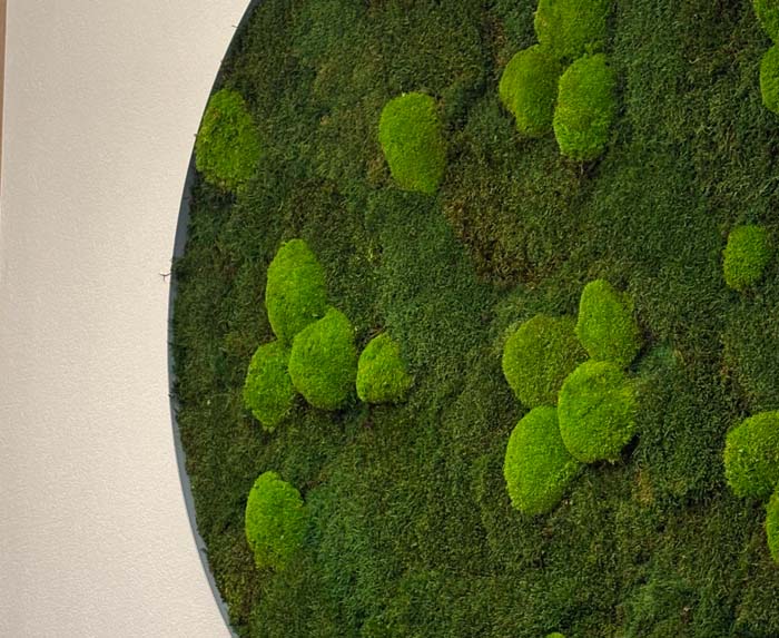 Rundes Moosbild - die Wirkung überzeugt
