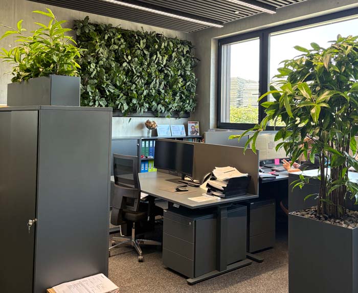 A. Graf Elektro-Installationen AG - Mehr Grün für mehr Wohlbefinden bei der Arbeit