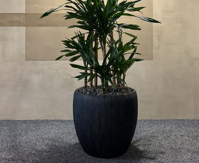 Pflanzen sind eine Kunst - wie für einander gemacht