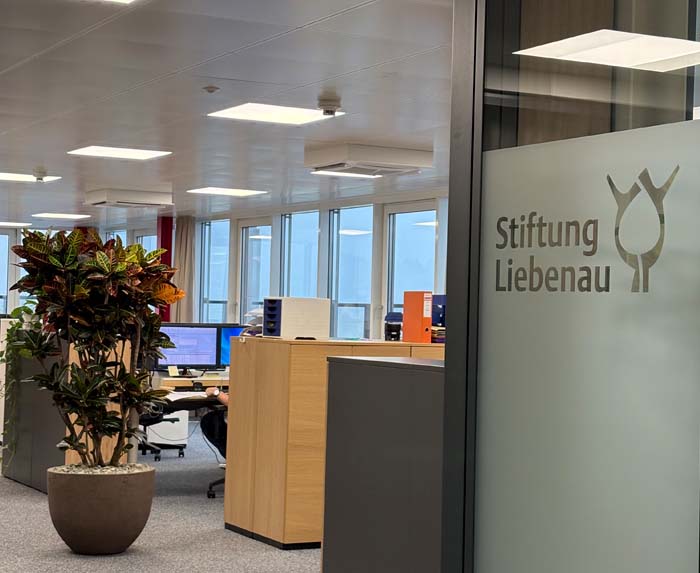 Stiftung Liebenau - Codiaeum Wunderstrauch in Ateliervierkant Topf