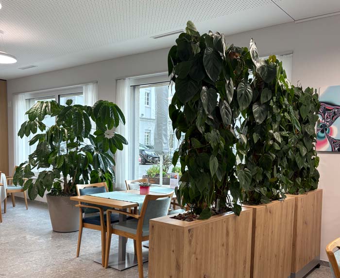 Tertianum Usego - Park Olten - Grüne Oase für mehr Wohlbefinden