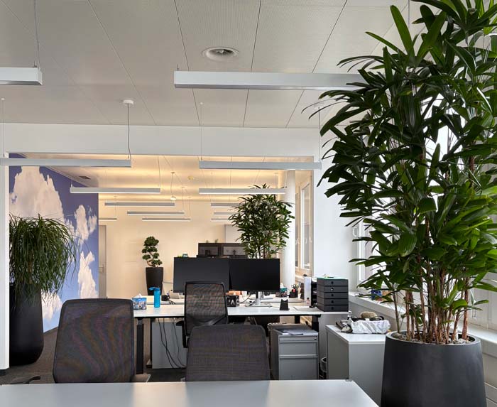 Bechtle Schweiz AG - Grüner Arbeitsplatz für gutes Raumklima