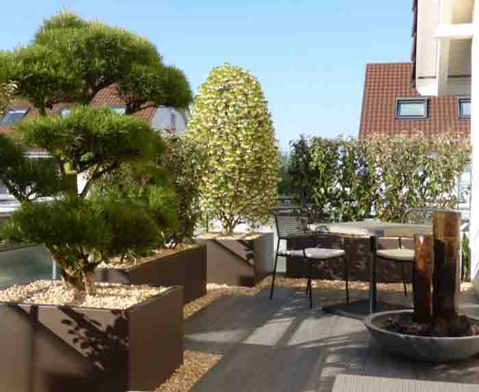 Terrasse 9 nachher - Mit Aluminiumgefässen, Bonsai und Wasser