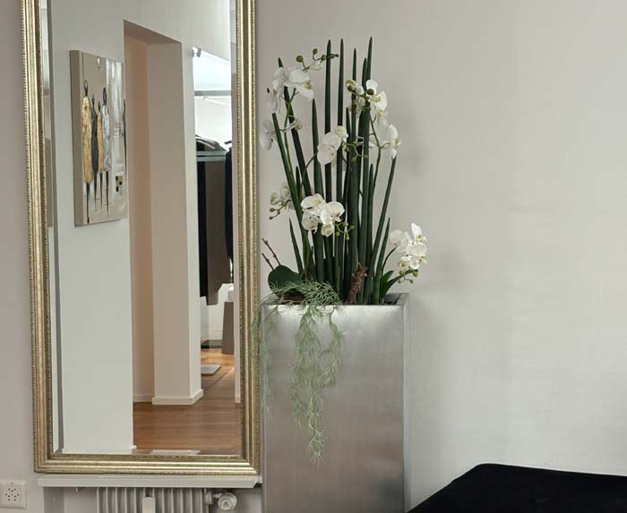 Textilpflanzen - für alle ohne grünen Daumen