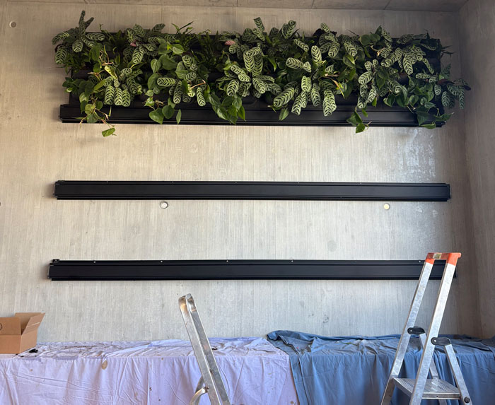 Wie ein Puzzle - setzen sich die Elemente zusammen