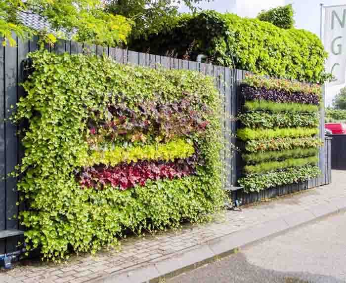 Auch im Freien - Auf sehr einfache Weise lassen sich Wände und Fassaden im Freien begrünen